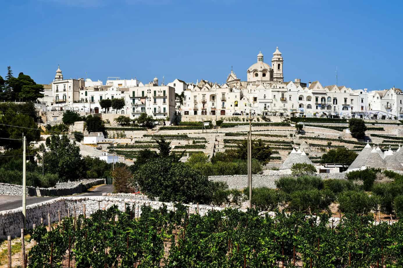 Vineyard overlooking white-washed hillside village with historic architecture and terraced landscape in southern Italy.