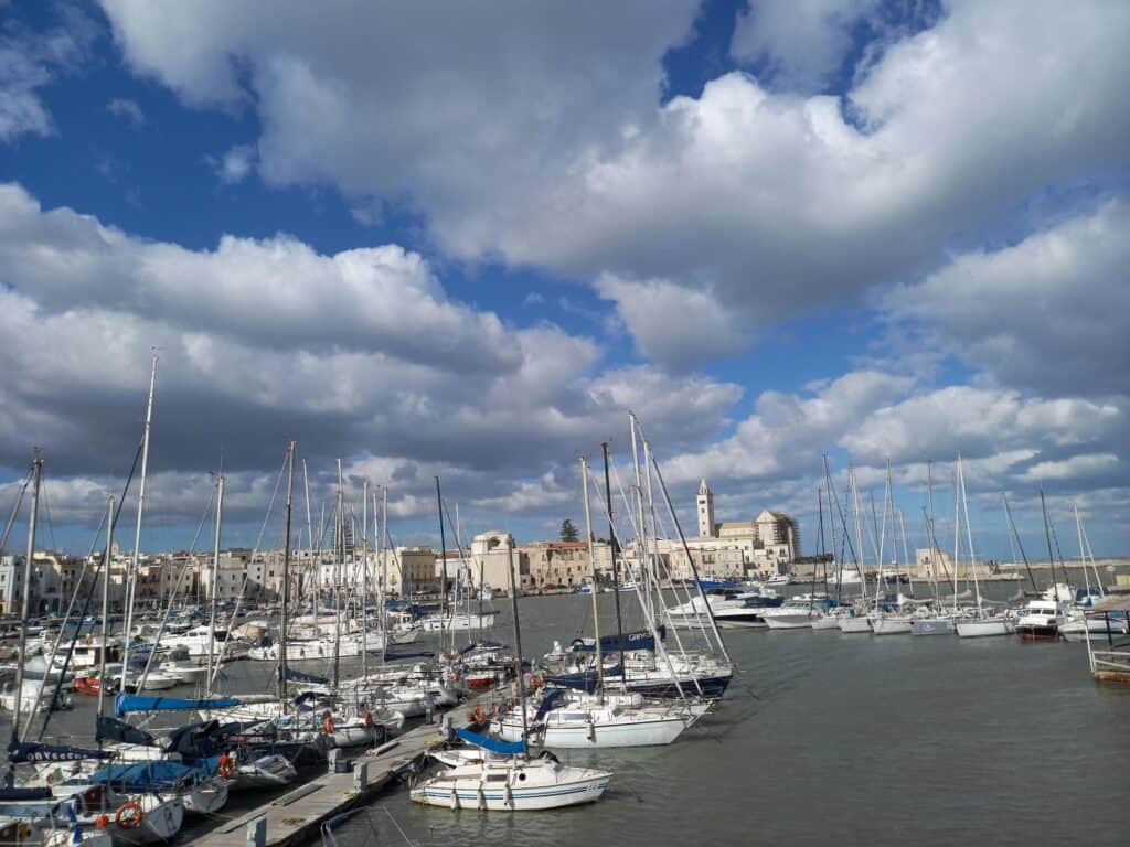 Vibrant marina with sailboats and yachts docked under a partly cloudy sky, showcasing a picturesque coastal town