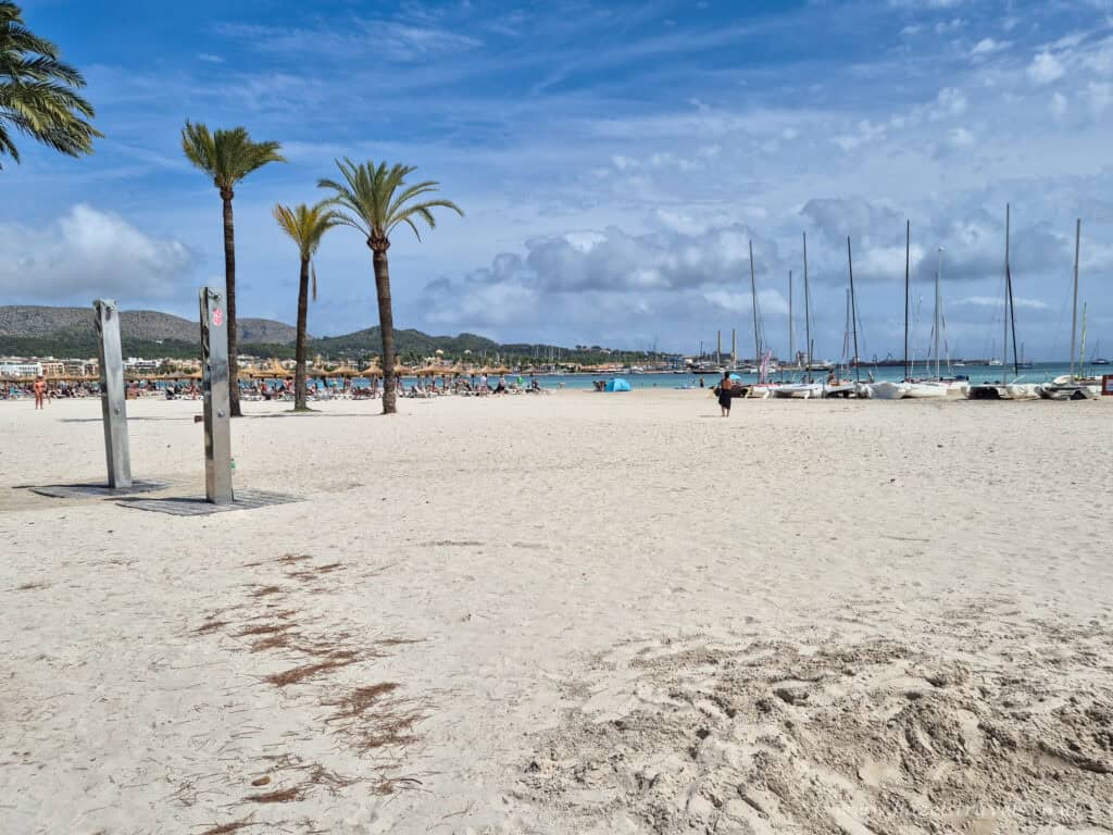 Wide sandy beach in Alcudia, Mallorca, with palm trees, sailboats, and sunbathers enjoying the turquoise water under a bright blue sky.