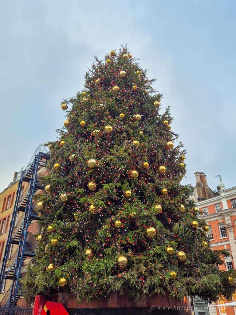 Tall Christmas tree with golden lights in London’s Seven Dials area