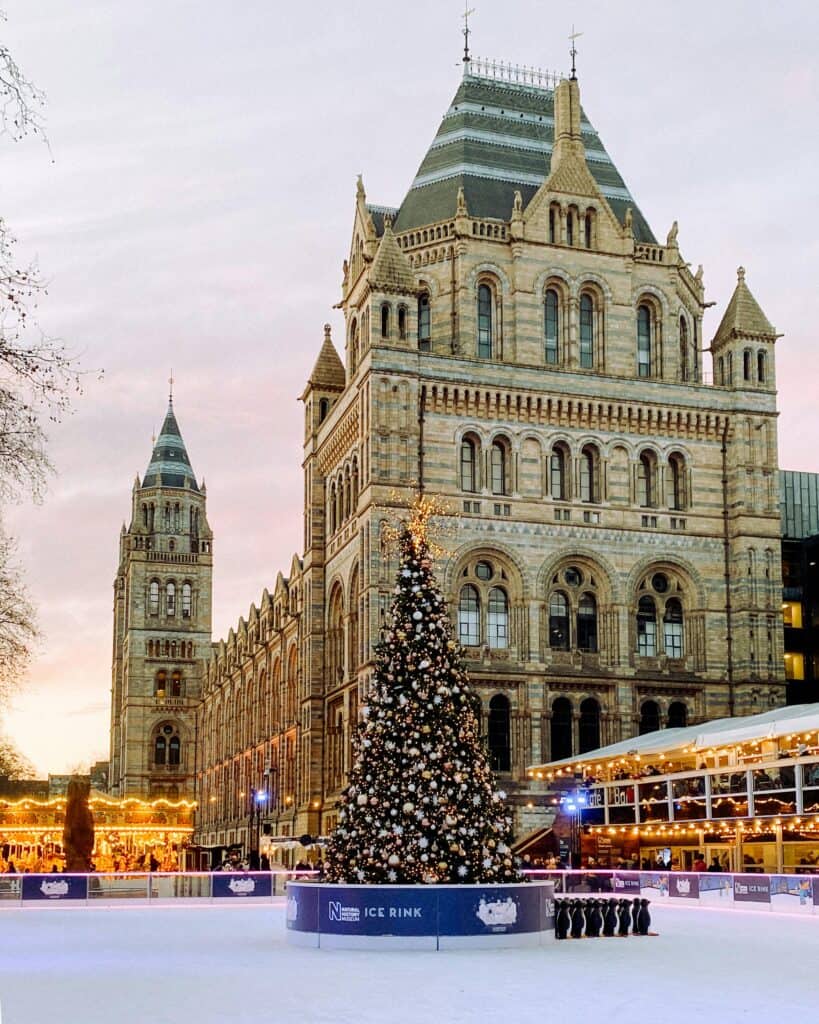 The grand façade of the Natural History Museum with a large Christmas tree and twinkling lights at dusk.