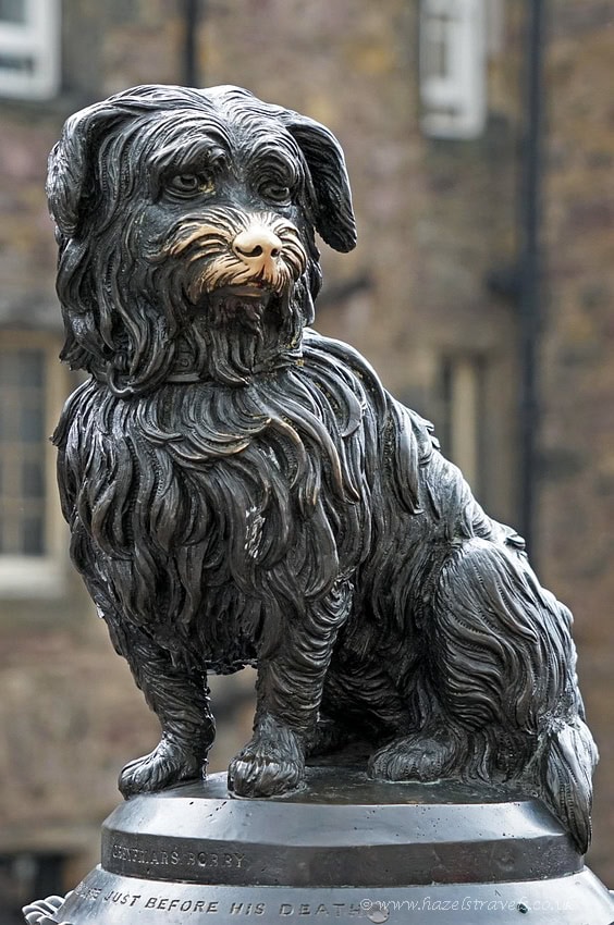 Statue of Greyfriars Bobby, the famous loyal Skye Terrier, outside Greyfriars Kirkyard in Edinburgh.