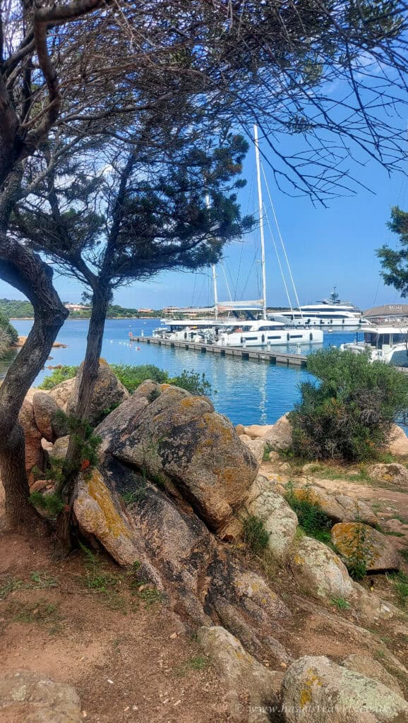 Porto Cervo marina, Sardinia — View of luxury yachts moored in Porto Cervo harbour, framed by rocks and pine trees.