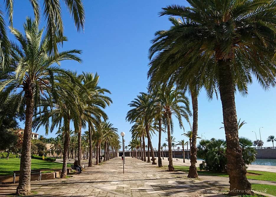 Palm tree-lined promenade in Palma de Mallorca, with a stone walkway, green lawns, and bright blue sky creating a peaceful Mediterranean atmosphere.