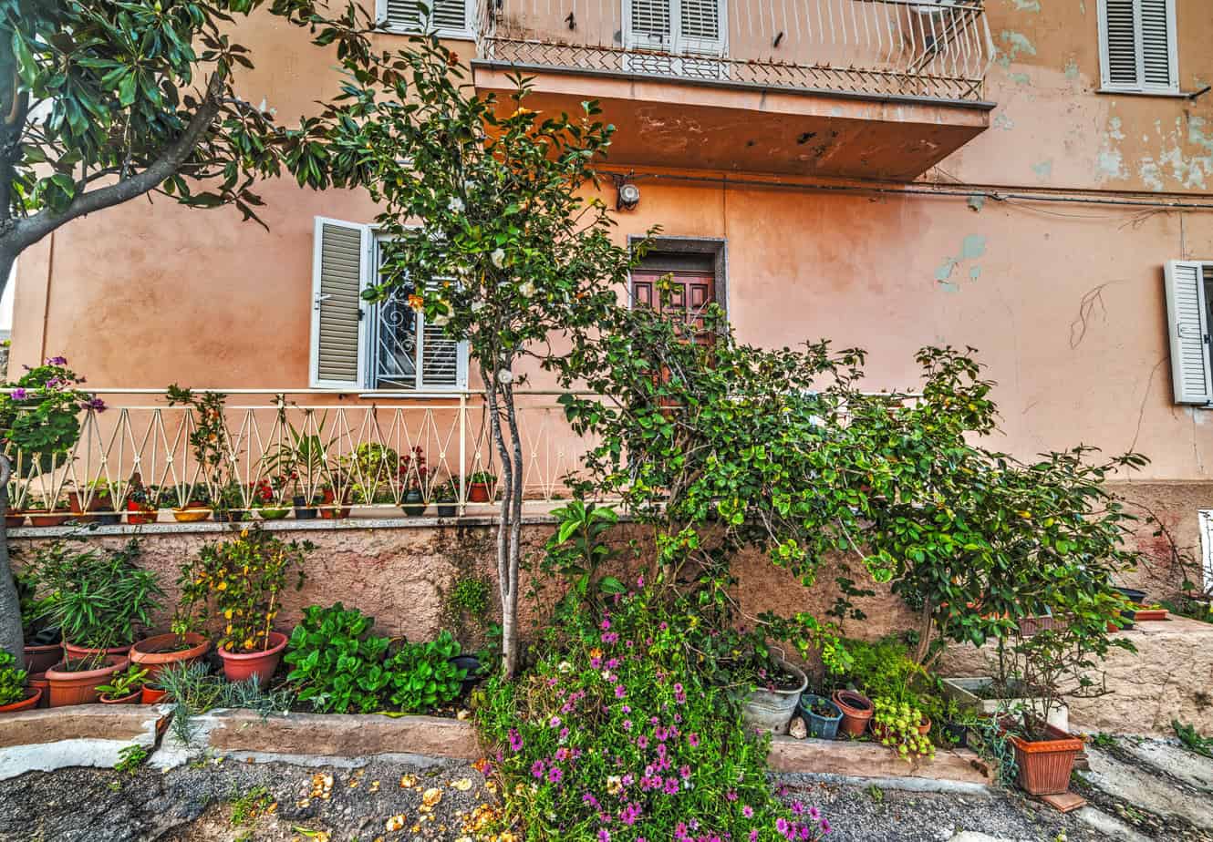 Traditional house in San Pantaleo, Sardinia - Rustic pink-toned building with a lemon tree and potted plants outside.
