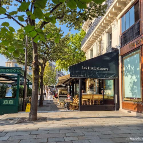 Saint-Germain-des-Prés boutique, Paris — Chic Parisian shopfront with leafy trees and elegant window displays