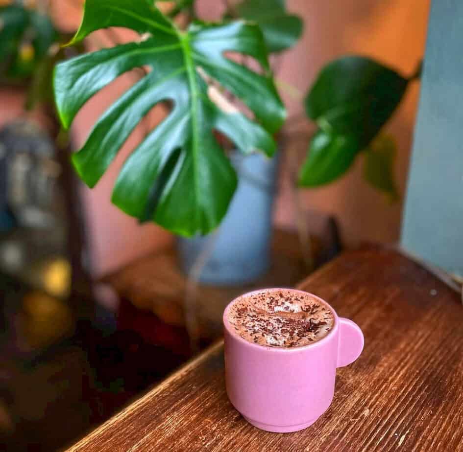 A pink mug containing hot chocolate with sprinkles, with a green monstera plant out of focus in the background.