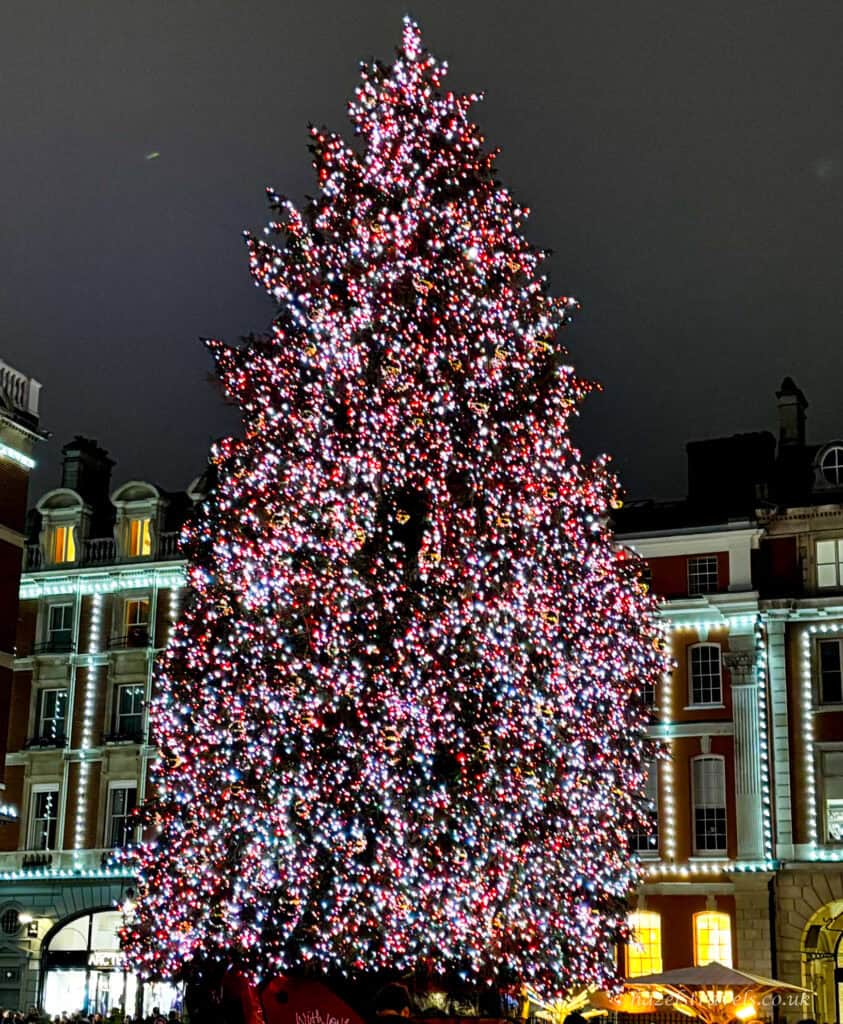 Large traditional Christmas tree covered in multicoloured fairy lights in a London square at night (Covent Garden), surrounded by historic buildings with illuminated windows under a dark winter sky