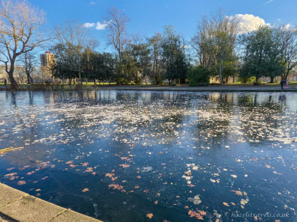 Frozen pond in Victoria Park, Hackney, with scattered autumn leaves trapped in the ice, reflecting bare winter trees under a bright blue sky