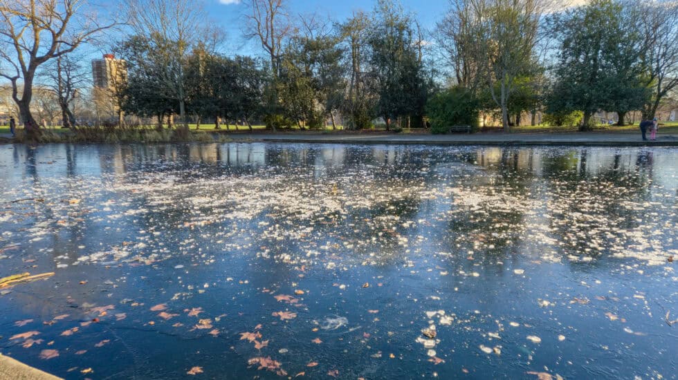 Frozen pond in Victoria Park, Hackney, with scattered autumn leaves trapped in the ice, reflecting bare winter trees under a bright blue sky