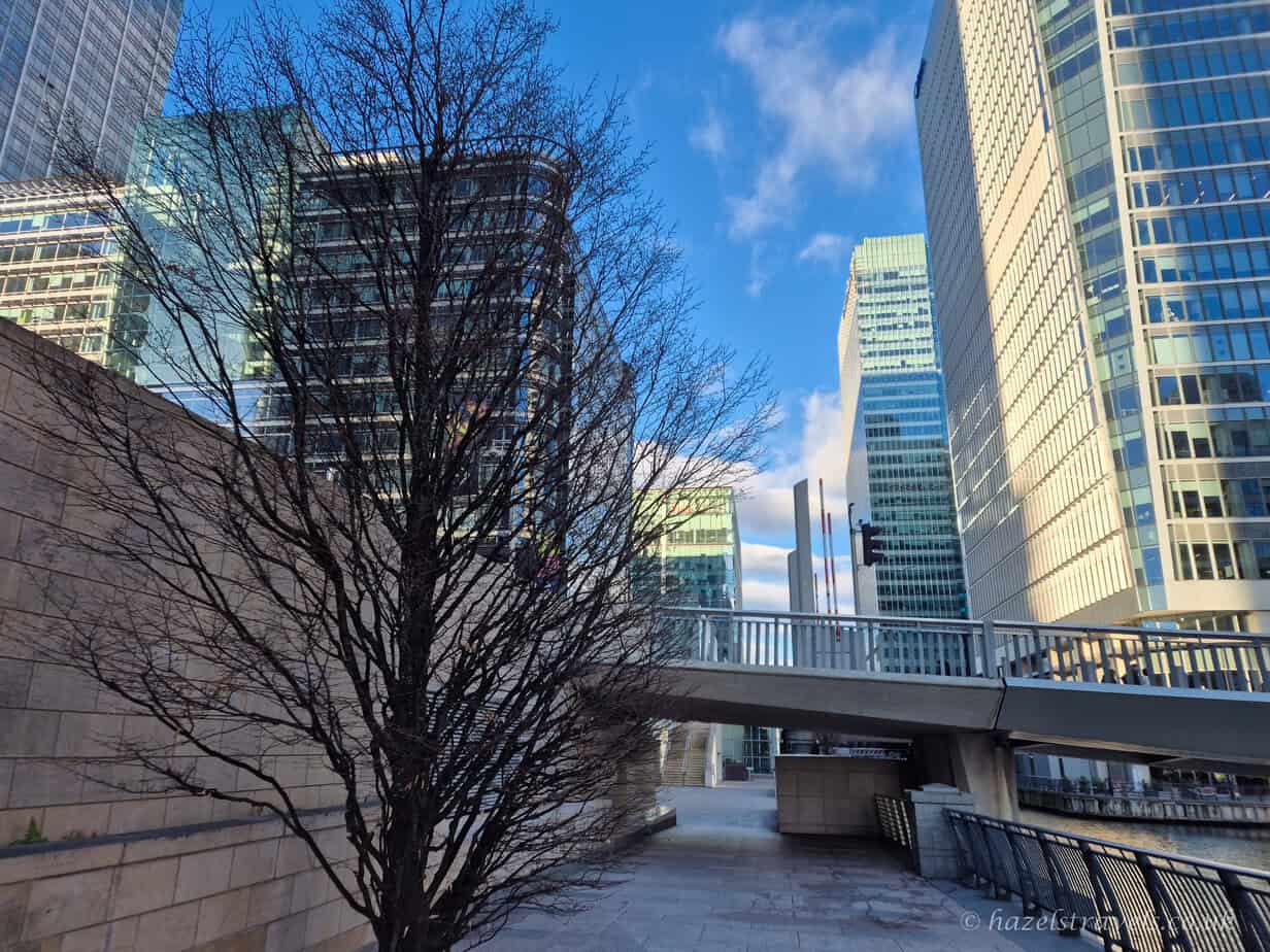 Leafless winter tree beside a pedestrian bridge in Canary Wharf, London, with modern glass skyscrapers and a bright blue sky in the background