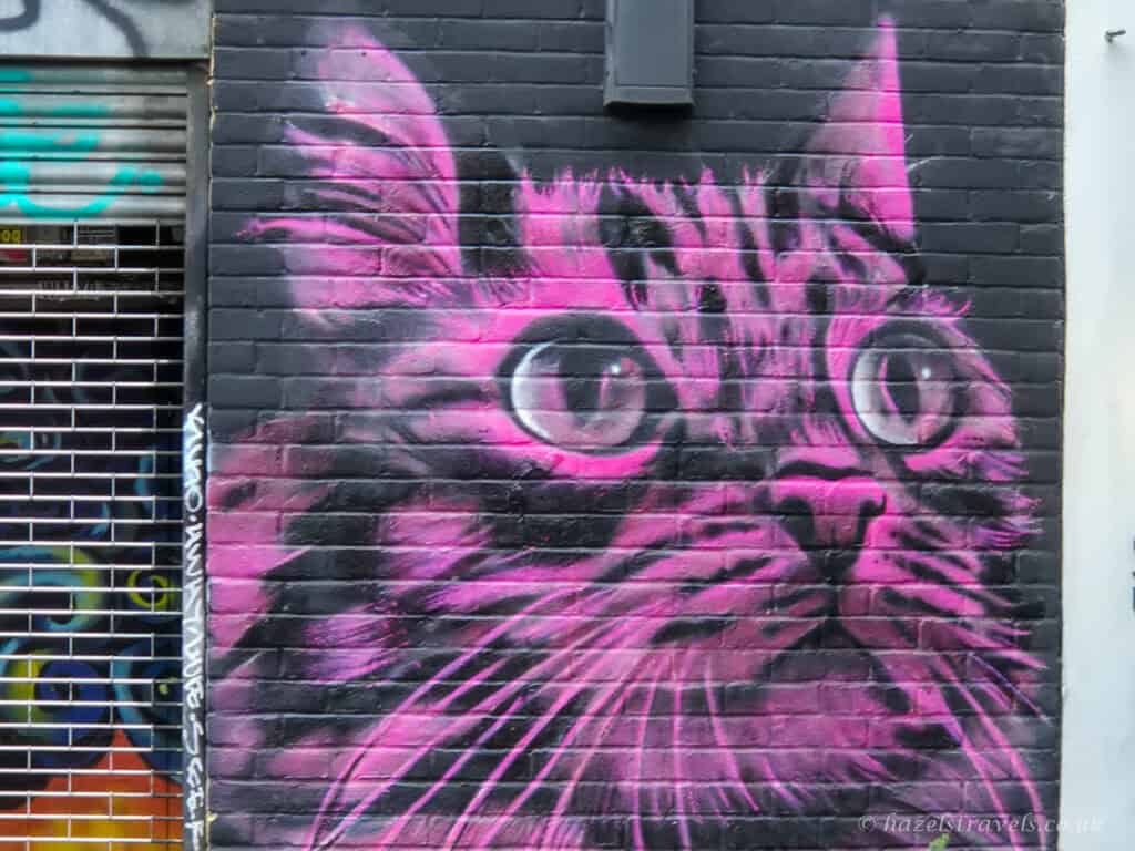 Bright pink cat street art mural painted by David Speed on a dark brick wall in Shoreditch, London, with wide eyes and bold graffiti details