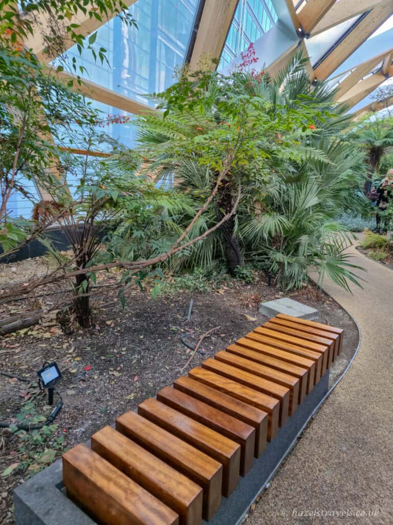 Curved pathway through the Crossrail Place Roof Garden in Canary Wharf, with tropical plants, green foliage, and a modern wooden bench in the foreground. The roof’s wooden beams and glass panels let in natural light, and a tall office building is visible through the glass walls.
