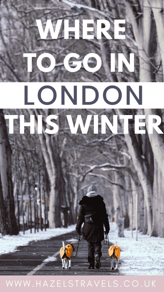 Winter walkway in London park with snow-covered ground, tall bare trees, a person walking two dogs in yellow coats, and muted grey and brown tones throughout the scene