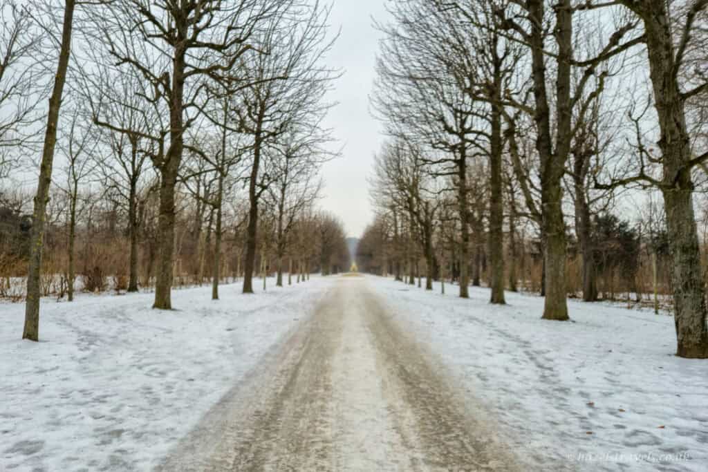 Snow-covered tree-lined avenue in Schönbrunn Palace gardens, Vienna, with bare winter branches and a long straight path fading into the distance under a pale grey sky