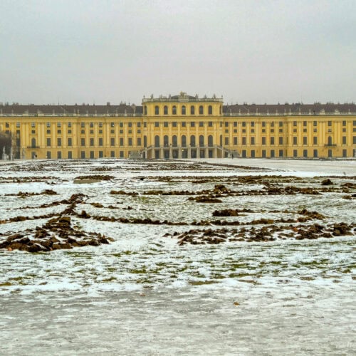 Schönbrunn Palace in Vienna viewed across snow-dusted formal gardens, with the yellow Baroque façade glowing beneath a flat grey winter sky